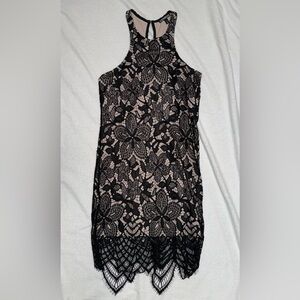 Express Lace High Neck Dress